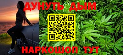 стафф Донецк