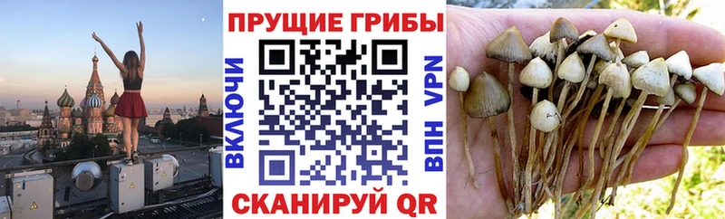 Псилоцибиновые грибы MAGIC MUSHROOMS  Менделеевск 