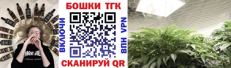ссылка на мегу ССЫЛКА  Менделеевск  Бошки Шишки тримм  где купить наркотик 